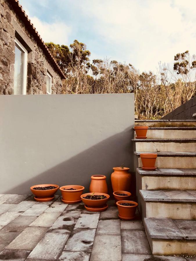 منزل الضيف مادالينا  في Casa D'Avo Francisco المظهر الخارجي الصورة